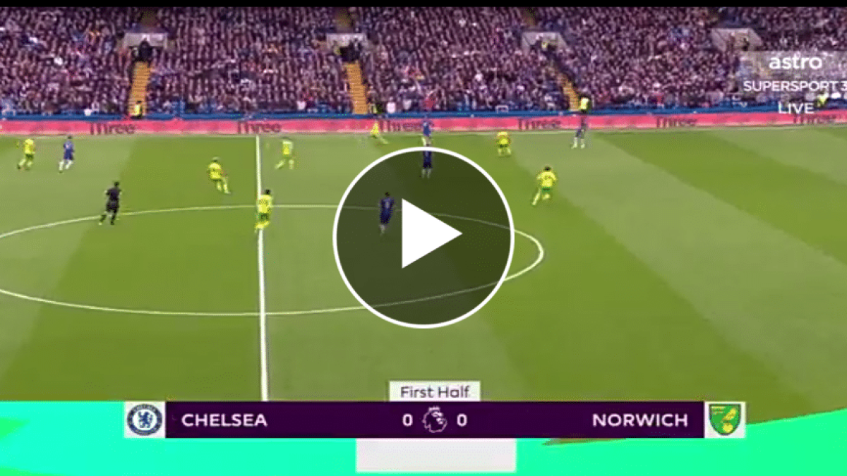 chelsea vs norwich live match updates mysportdab