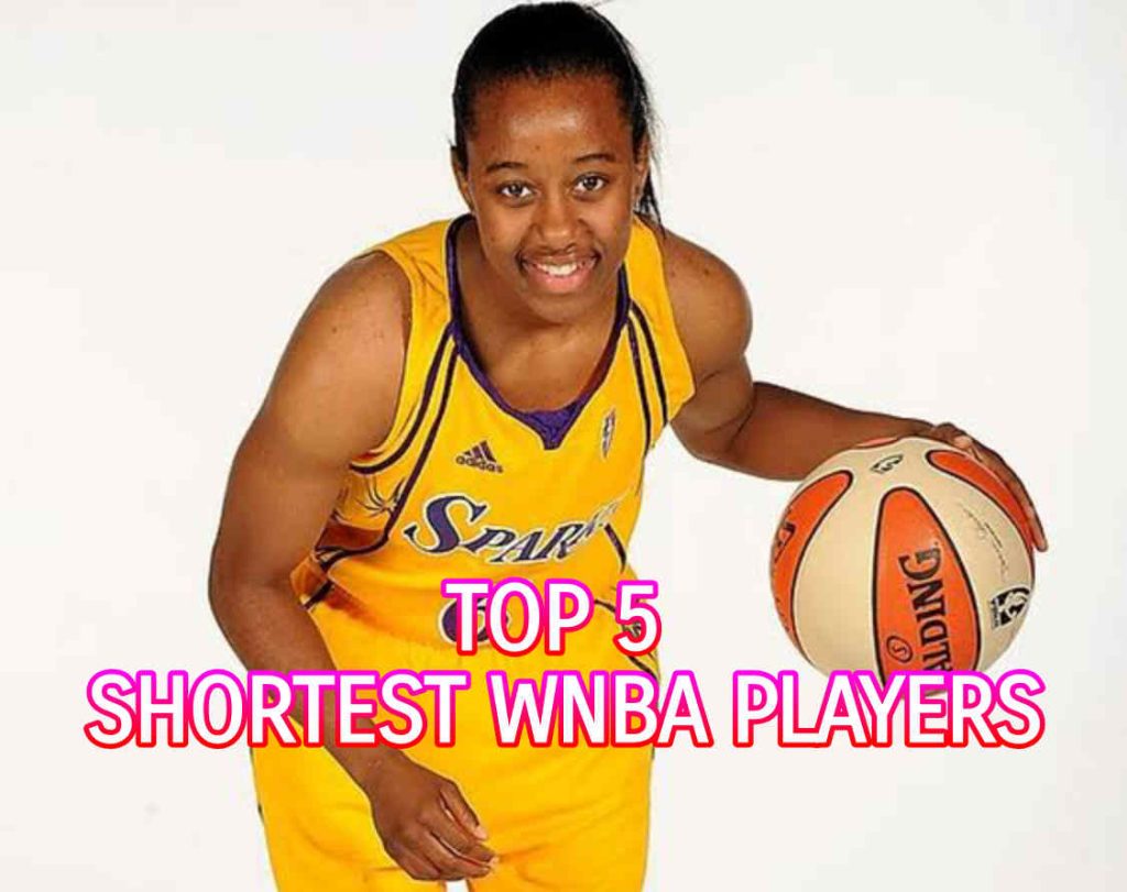 Top 5 Shortest WNBA Players MySportDab
